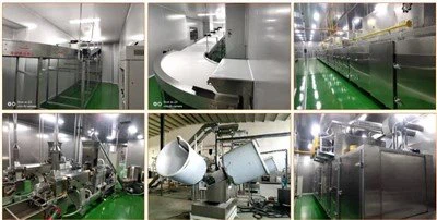 नाश्ता खाद्य प्रसंस्करण लाइन