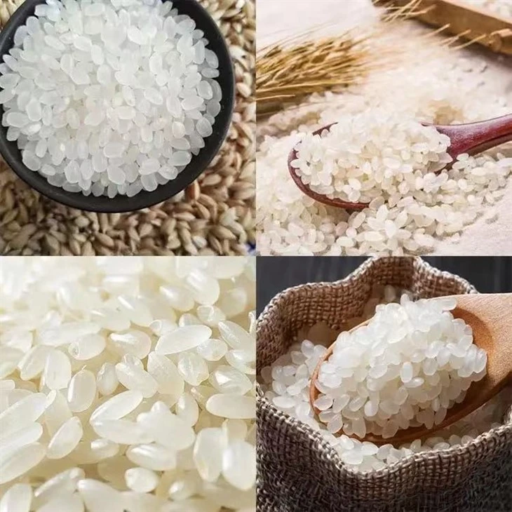 New Artificial Rice Production Line